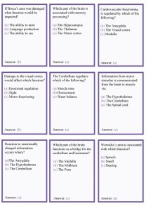 purple-questions-final